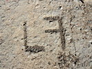 photo thumbnail #15