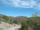 photo thumbnail #2