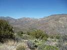 photo thumbnail #10