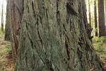 photo thumbnail #11