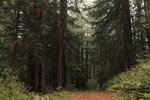 photo thumbnail #15