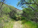 photo thumbnail #5