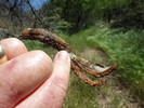 photo thumbnail #9