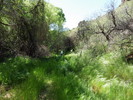photo thumbnail #10