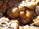 photo thumbnail #11