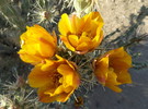 photo thumbnail #3