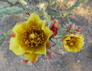photo thumbnail #4