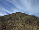 photo thumbnail #7