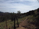 photo thumbnail #14