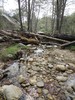photo thumbnail #14