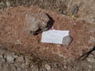 photo thumbnail #12