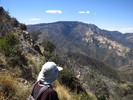 photo thumbnail #13