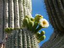 photo thumbnail #1