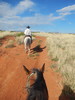 photo thumbnail #6