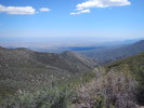 photo thumbnail #2