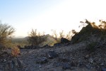 photo thumbnail #2