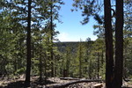 photo thumbnail #11