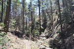 photo thumbnail #12