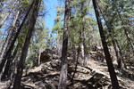 photo thumbnail #13
