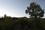 recent photo