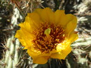 photo thumbnail #1