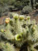photo thumbnail #10