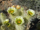 photo thumbnail #11