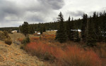 photo thumbnail #12