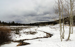 photo thumbnail #13
