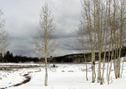 photo thumbnail #15