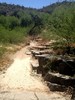 photo thumbnail #7