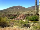 photo thumbnail #14