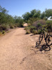 photo thumbnail #7