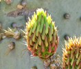 photo thumbnail #14