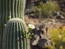 photo thumbnail #5