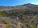 photo thumbnail #3