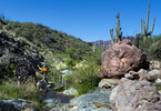 photo thumbnail #15