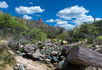 2014-04-05 :1: Fraser - Randolph Loop :: tibber