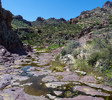 2014-04-05 :1: Fraser - Randolph Loop :: tibber