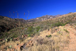 photo thumbnail #2