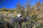photo thumbnail #5