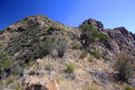 photo thumbnail #12