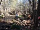 photo thumbnail #2