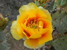 photo thumbnail #3