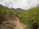 photo thumbnail #8