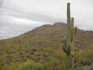 photo thumbnail #15