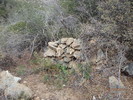 photo thumbnail #15