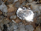 photo thumbnail #12