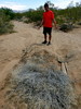photo thumbnail #14