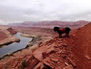 photo thumbnail #9